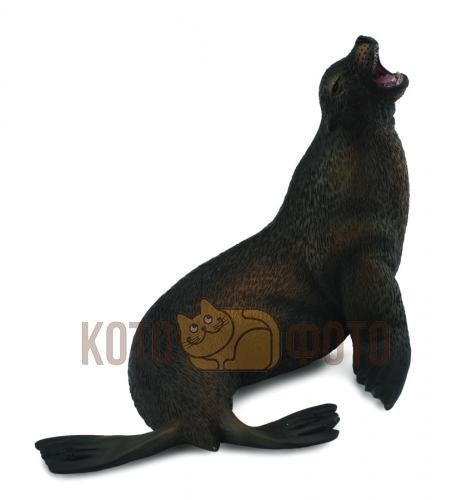 Фигурка Collecta Морской лев,L
Фигурка Collecta Морской лев,L