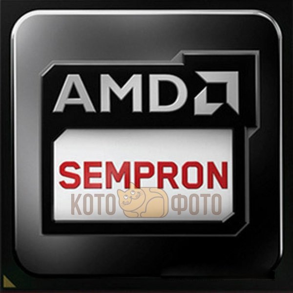 Процессор AMD Sempron X2 2650 AM1 Kabini OEM
Процессор AMD Sempron X2 2650 AM1 Kabini OEM