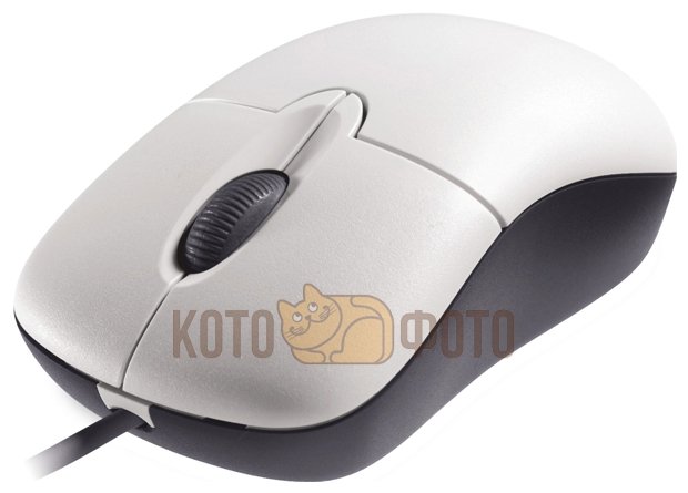 Мышь Microsoft Basic Optical Mouse White (P58-00060), Белый
Мышь Microsoft Basic Optical Mouse White (P58-00060), Белый