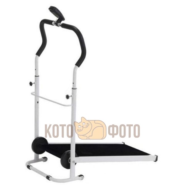 Беговая Дорожка Bradex Эклипс Sf 0058
Беговая Дорожка Bradex Эклипс Sf 0058