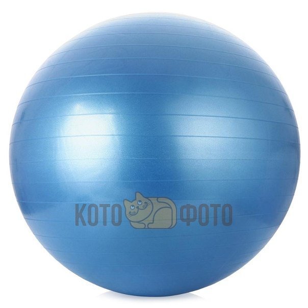 Мяч гимнастический Indigo D55см (ПВХ) 97402-55 IR
Мяч гимнастический Indigo D55см (ПВХ) 97402-55 IR