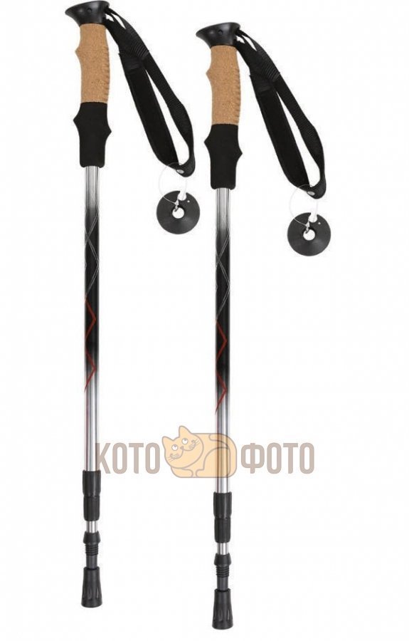 Палки Для Скандинавской Ходьбы Телескопические Indigo Irak008
Палки Для Скандинавской Ходьбы Телескопические Indigo Irak008