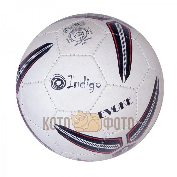 Мяч для футбола Indigo EVOKE №5 1133
Мяч для футбола Indigo EVOKE №5 1133
