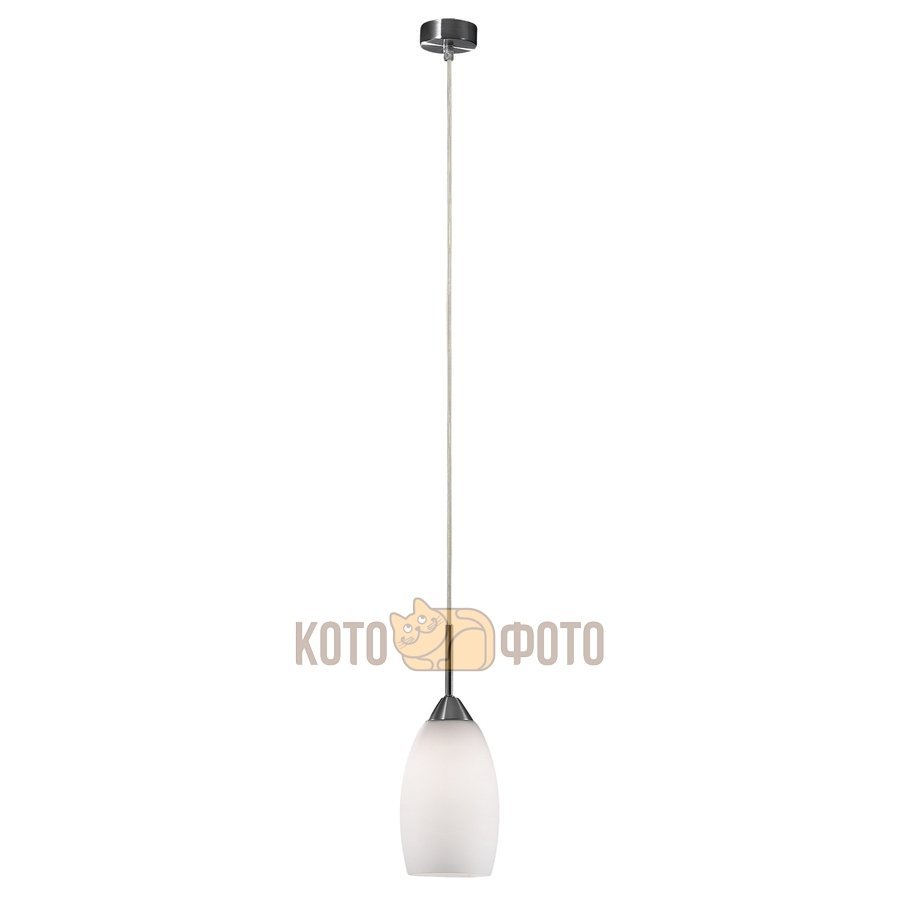 Подвесной светильник Odeon Light Rigato 2174/1
Подвесной светильник Odeon Light Rigato 2174/1