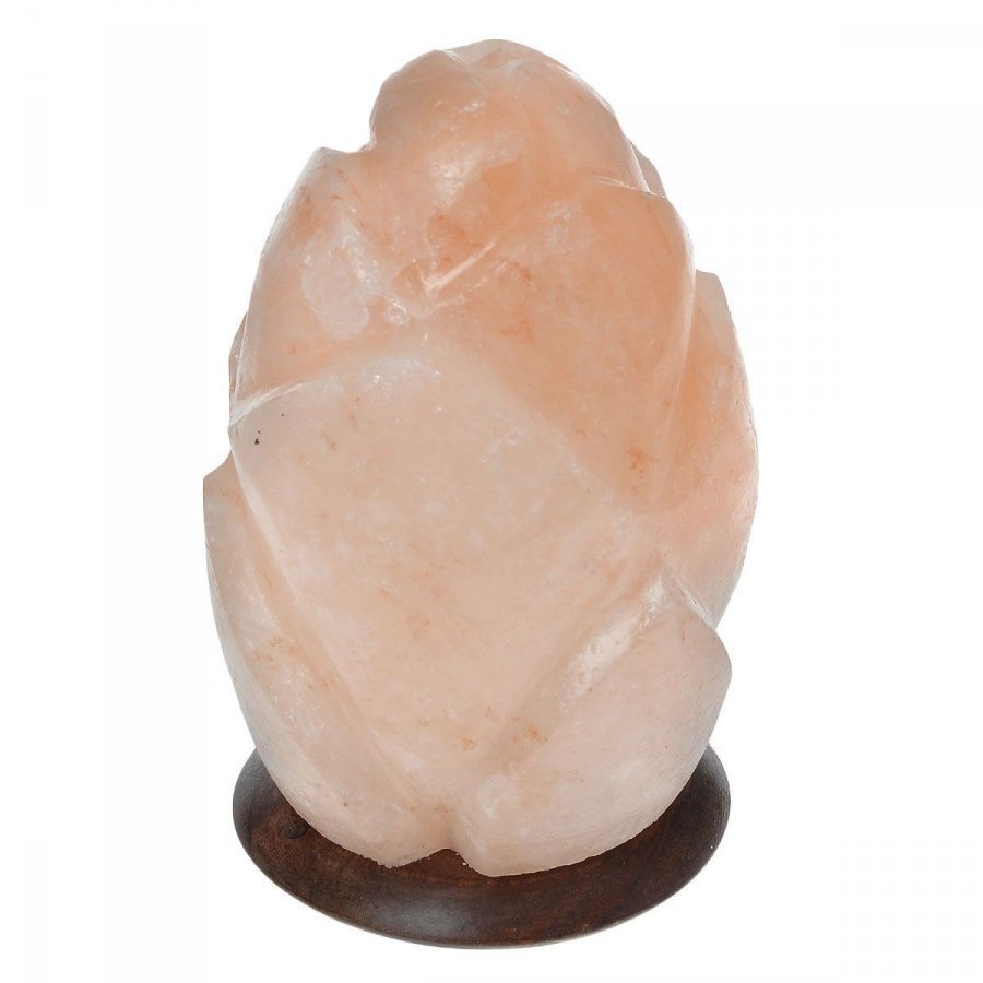 Лампа солевая Zenet Тюльпан
Лампа солевая Zenet Тюльпан