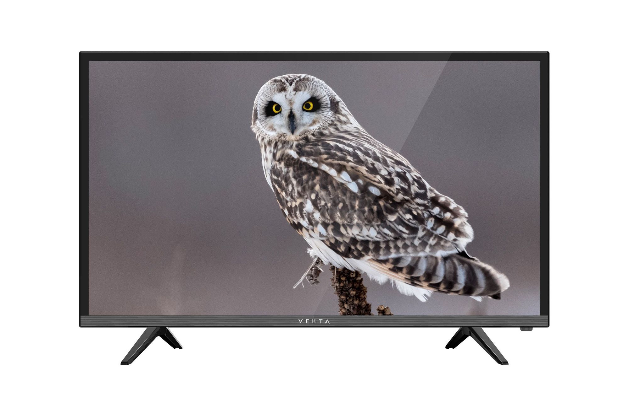 Телевизор VEKTA LED24" LD-24TR4315BT, Чёрный
Телевизор VEKTA LED24" LD-24TR4315BT, Чёрный