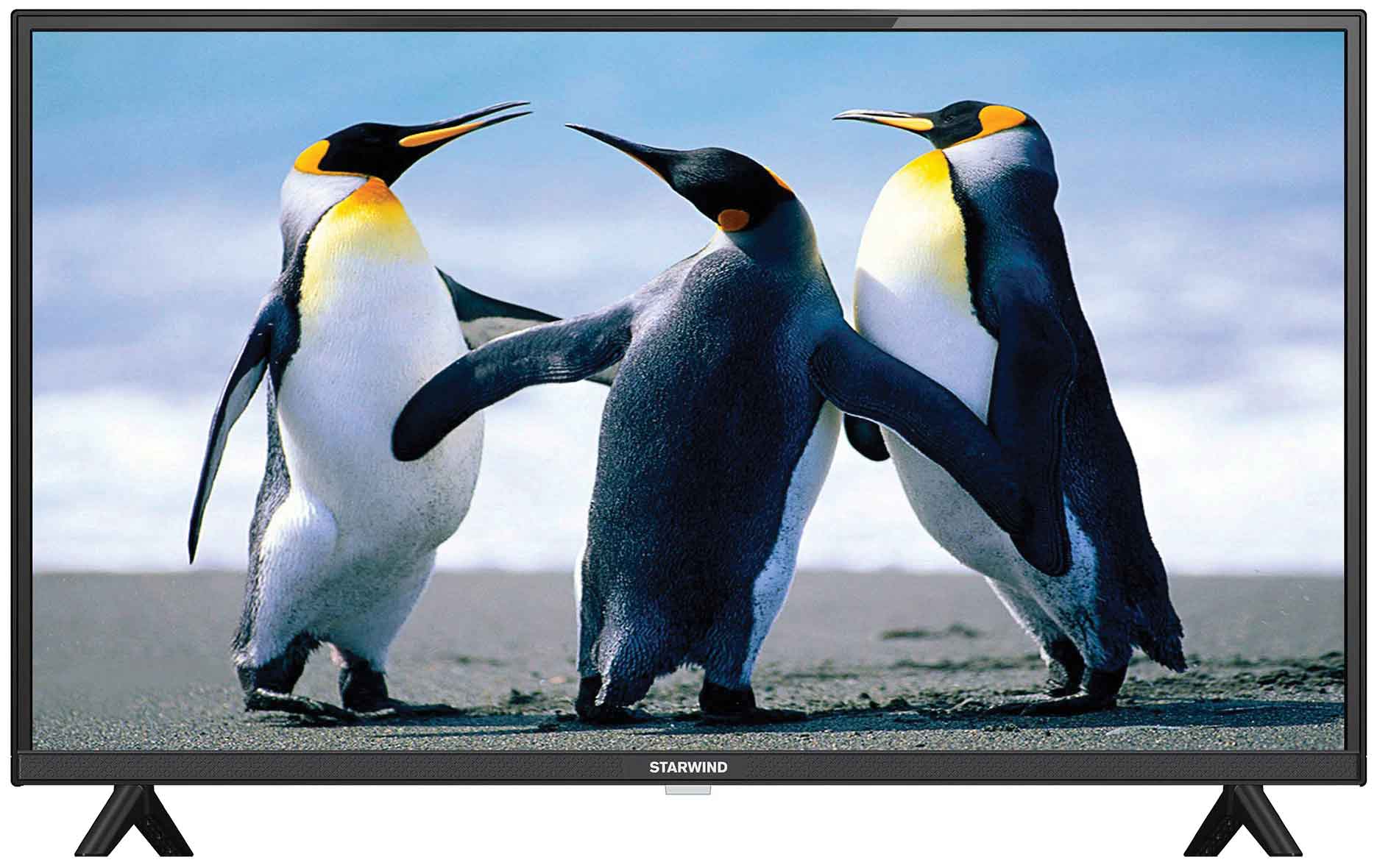 Телевизор Starwind 40" SW-LED40SB304 черный
Телевизор Starwind 40" SW-LED40SB304 черный