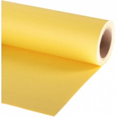 Фон бумажный Lastolite LL LP9038 2.75x11 м Primrose
Фон бумажный Lastolite LL LP9038 2.75x11 м Primrose