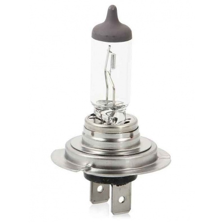 Галогенная лампа Osram H7 (55W 12V) Original Line 1шт
Галогенная лампа Osram H7 (55W 12V) Original Line 1шт