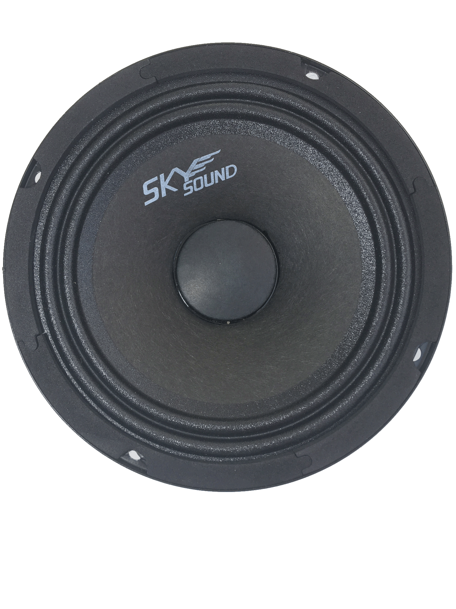 Комплект акустики Skysound Berkut SSB-65 6"
Комплект акустики Skysound Berkut SSB-65 6"