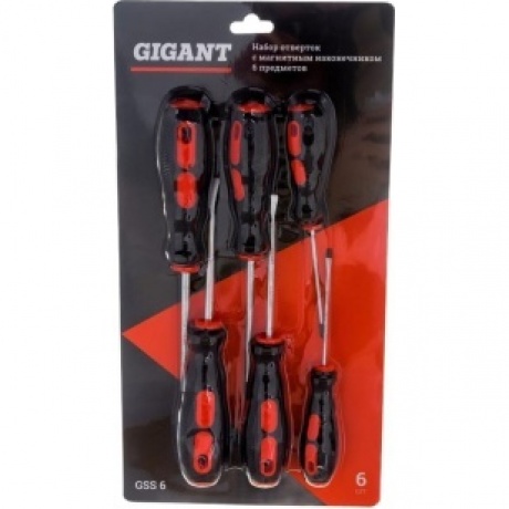 Набор отверток с магнитным наконечником Gigant 6 предметов GSS 6
Набор отверток с магнитным наконечником Gigant 6 предметов GSS 6