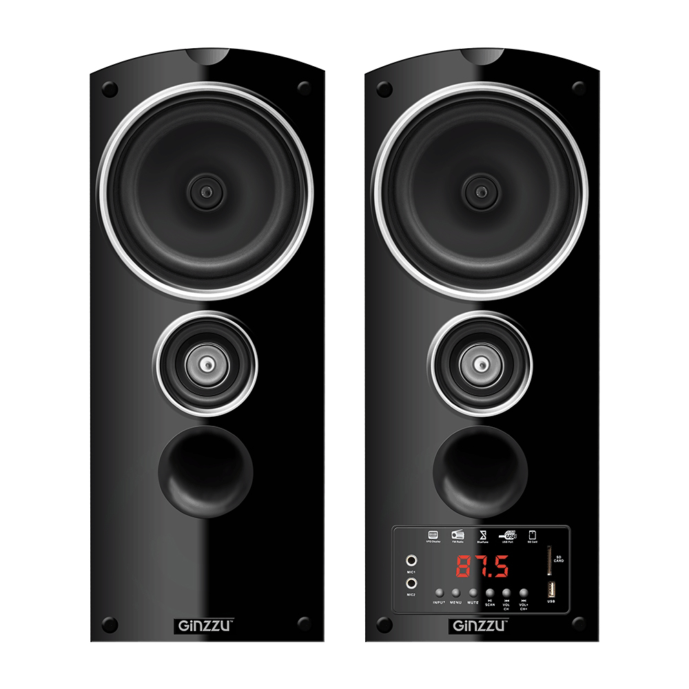 Акустическая система Ginzzu GM-301 
Акустическая система Ginzzu GM-301