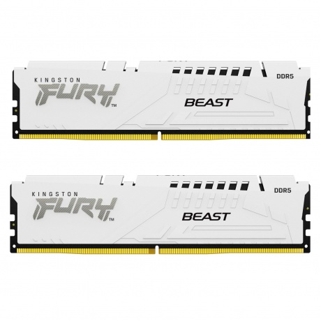 Память оперативная Kingston DDR5 2x16GB 5600MHz Fury Beast White Expo RTL Gaming (KF556C36BWEK2-32)
Память оперативная Kingston DDR5 2x16GB 5600MHz Fury Beast White Expo RTL Gaming (KF556C36BWEK2-32)
