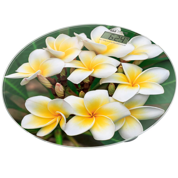 Напольные весы Home Element HE-SC908 белые плюмерии
Напольные весы Home Element HE-SC908 белые плюмерии