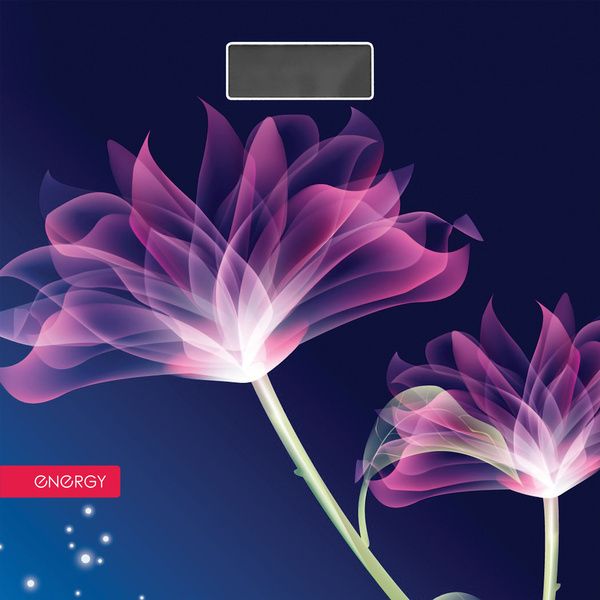 Весы напольные электронные Energy EN-419G
Весы напольные электронные Energy EN-419G