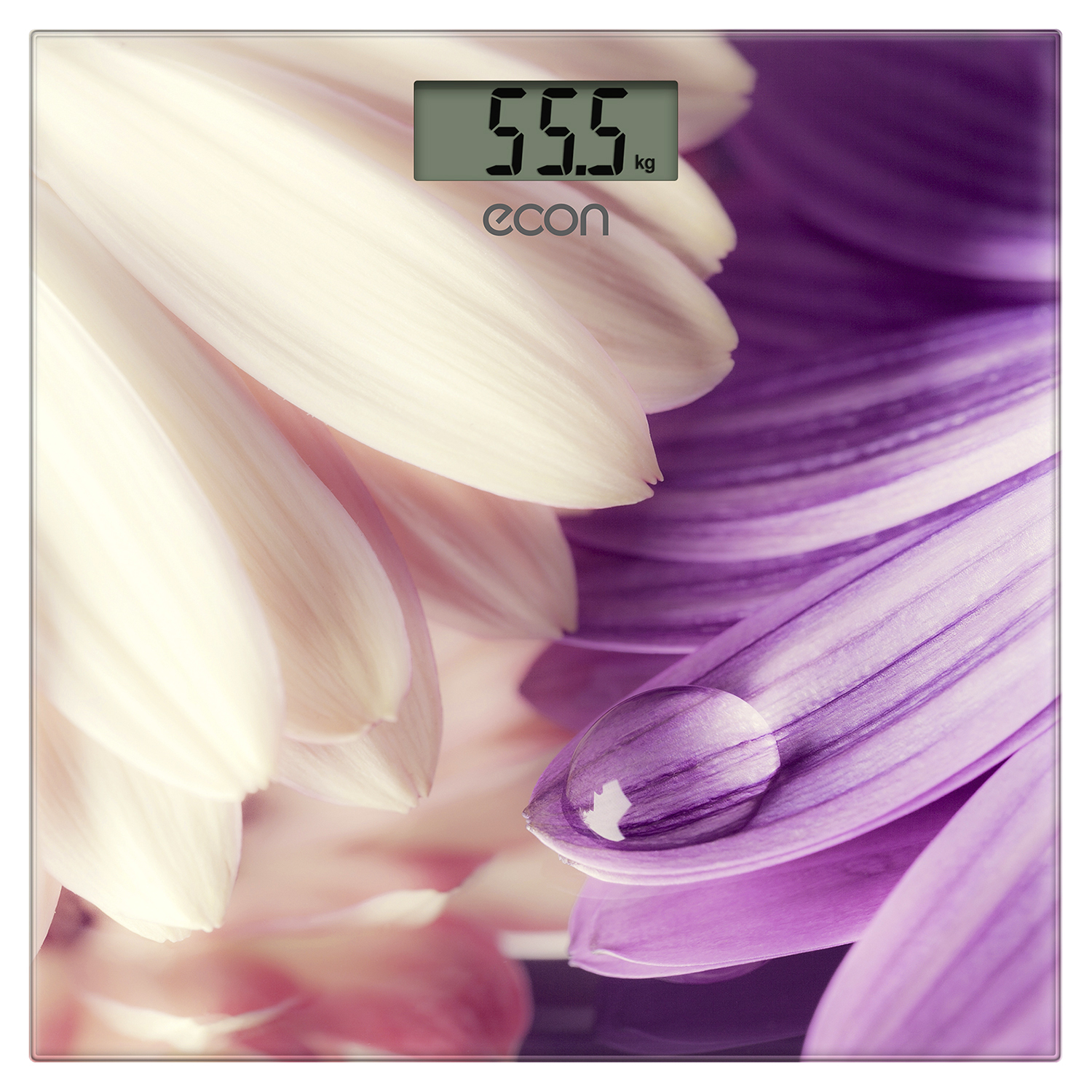 Весы напольные электронные Econ ECO-BS009
Весы напольные электронные Econ ECO-BS009