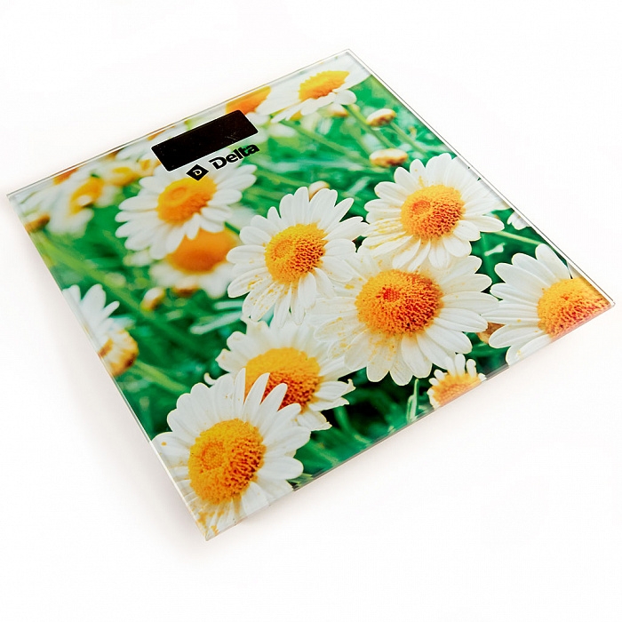 Весы напольные электронные Delta D-9220/1 Ромашковое поле
Весы напольные электронные Delta D-9220/1 Ромашковое поле