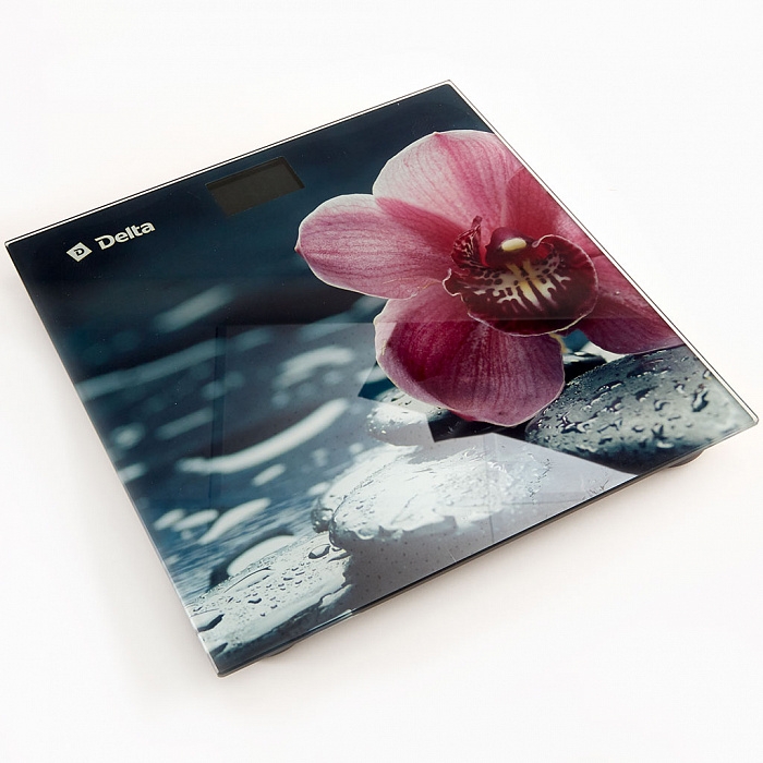 Весы напольные электронные Delta D-9232/1 Спа
Весы напольные электронные Delta D-9232/1 Спа