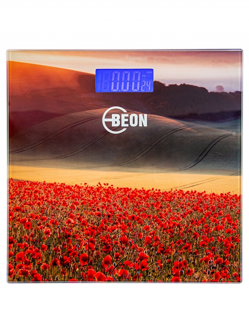 Весы напольные электронные Beon BN-110
Весы напольные электронные Beon BN-110
