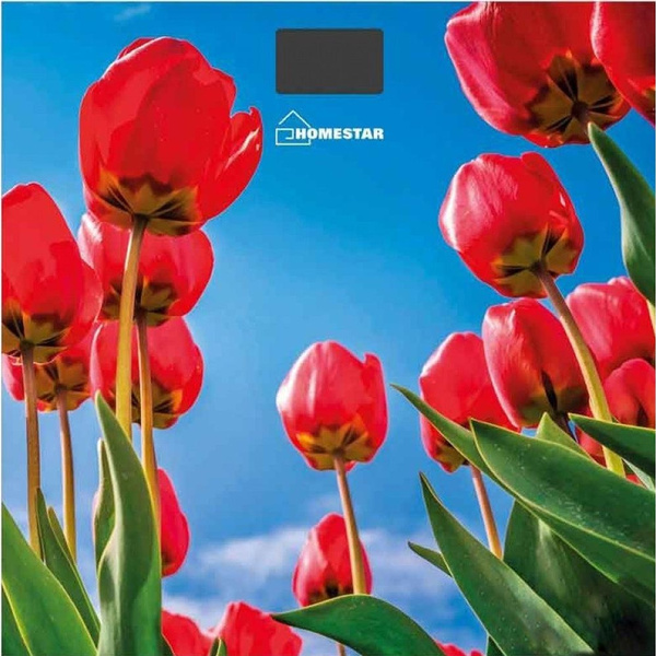 Весы напольные электронные Homestar HS-6001I
Весы напольные электронные Homestar HS-6001I