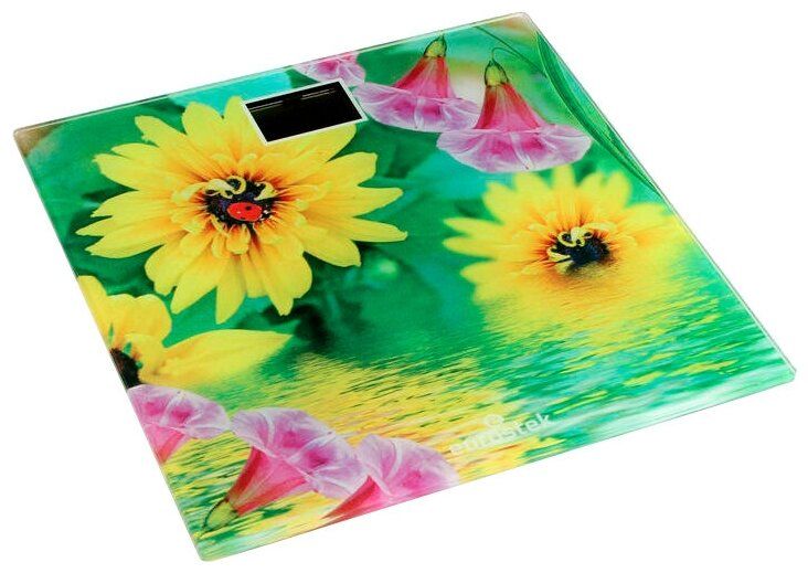 Весы напольные Eurostek EBS-2607
Весы напольные Eurostek EBS-2607