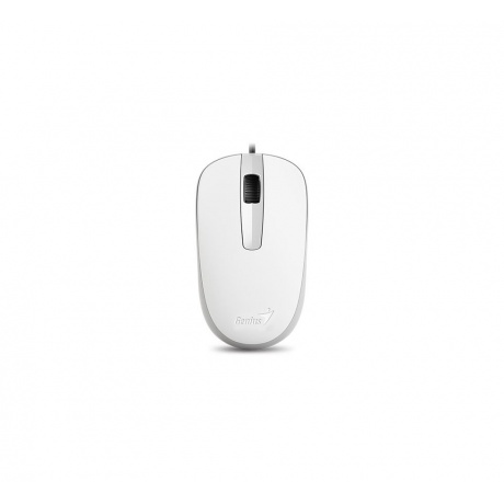 Мышь Genius Mouse DX-120 (31010010401) White, Белый
Мышь Genius Mouse DX-120 (31010010401) White, Белый