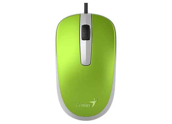 Мышь Genius DX-120 зелёная (31010010404), Зеленый/белый
Мышь Genius DX-120 зелёная (31010010404), Зеленый/белый
