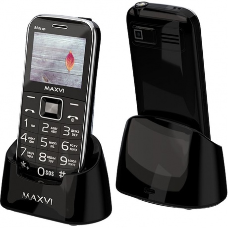 Мобильный телефон Maxvi B6ds up Black, Черный
Мобильный телефон Maxvi B6ds up Black, Черный