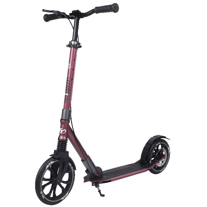 Самокат TechTeam Sport 250R (2021) красный
Самокат TechTeam Sport 250R (2021) красный