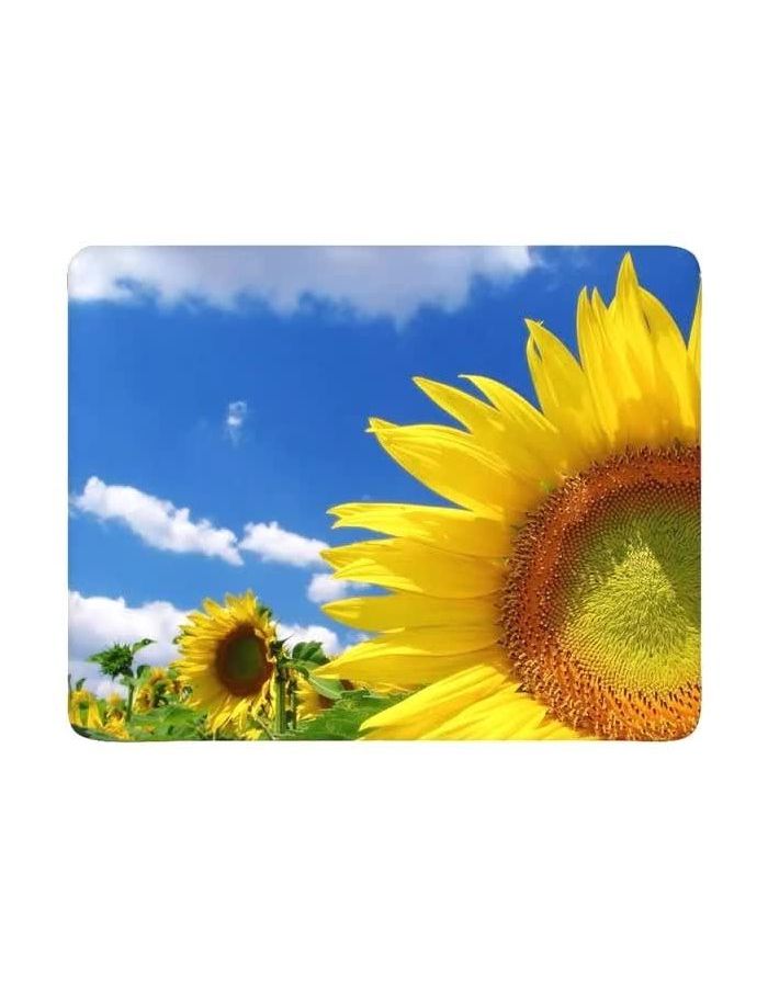 Коврик Buro для мыши BU-M20036 поле подсолнухов (817310)
Коврик Buro для мыши BU-M20036 поле подсолнухов (817310)