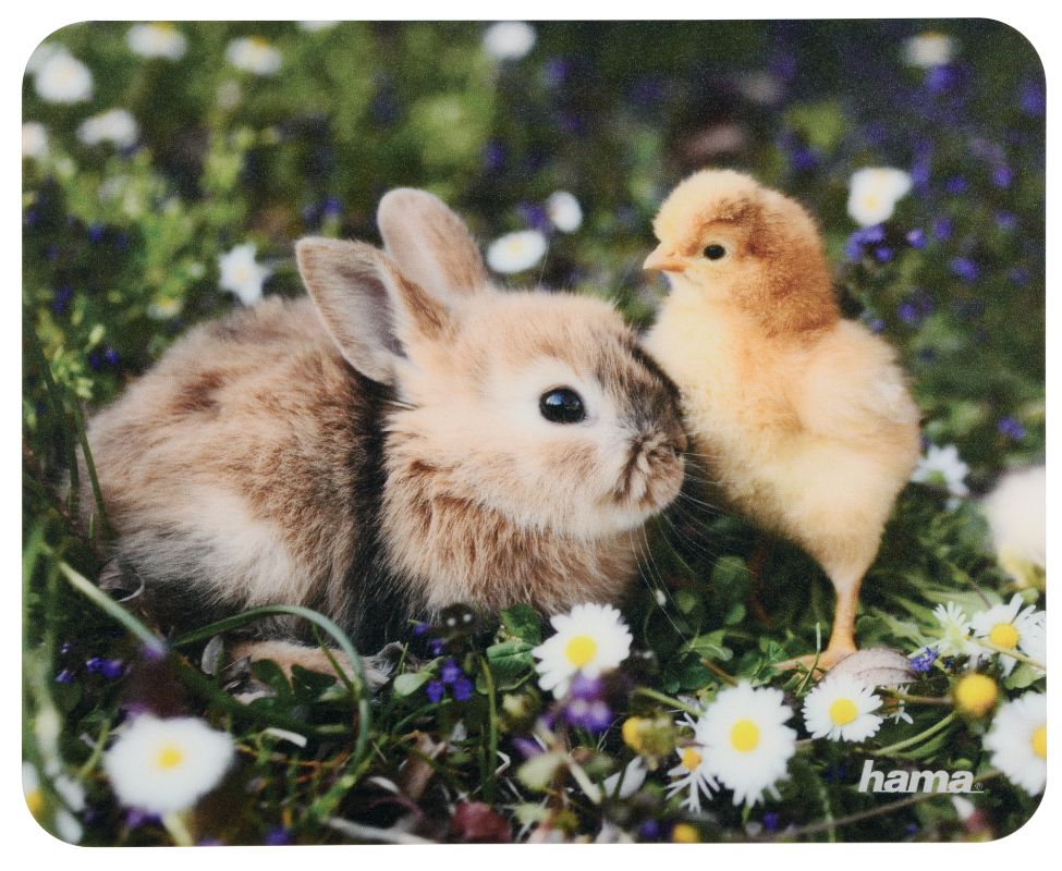 Коврик Hama для мыши Animal 8 вариантов расцветки
Коврик Hama для мыши Animal 8 вариантов расцветки