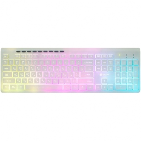 Клавиатура Oklick 490ML белый USB
Клавиатура Oklick 490ML белый USB