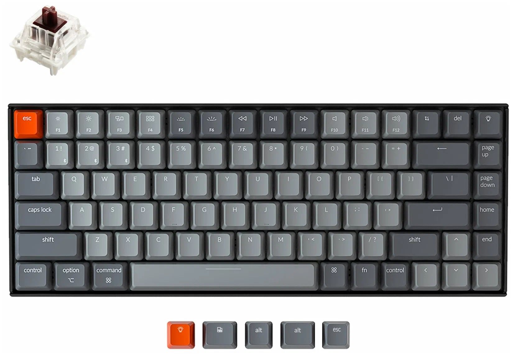 Клавиатура Keychron K2, 84 клавиши, White Led подсветка, Gateron Brown Switch (K2-A3), Серый
Клавиатура Keychron K2, 84 клавиши, White Led подсветка, Gateron Brown Switch (K2-A3), Серый