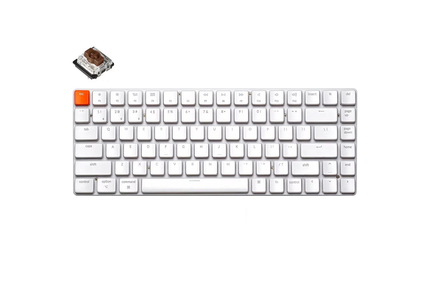 Клавиатура Keychron K3, 84 клавиши, без подстветки, Gateron Brown Switch (K3-K3), Белый
Клавиатура Keychron K3, 84 клавиши, без подстветки, Gateron Brown Switch (K3-K3), Белый