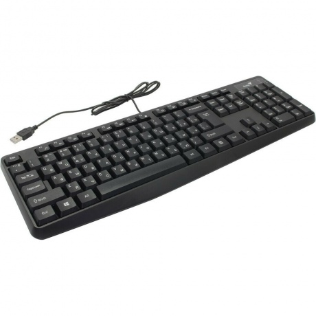 Клавиатура Genius KB-117,RU,USB,Black,1,8 м, Черный
Клавиатура Genius KB-117,RU,USB,Black,1,8 м, Черный