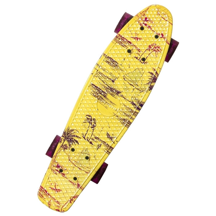 Скейт Atemi Пляж APB-3.16
Скейт Atemi Пляж APB-3.16