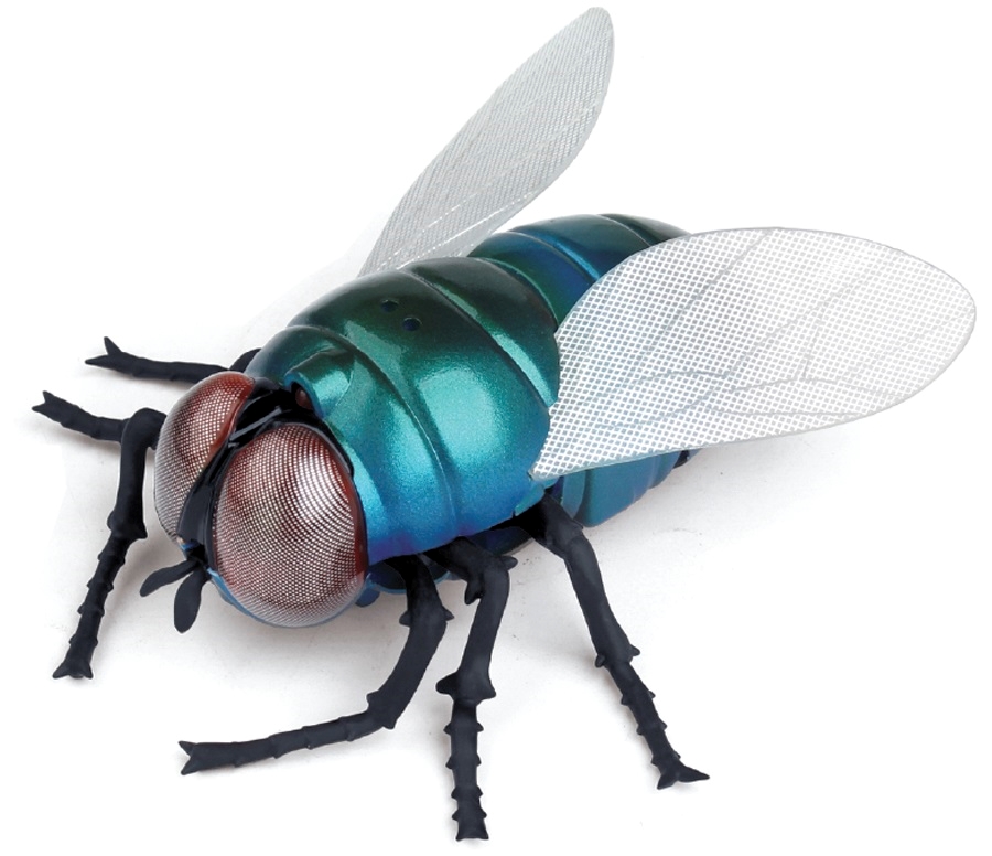 Игрушка интерактивная 1TOY Robo Life Робо-муха на ИК управлении, свет эффекты, 16,5*5,3*18,6
Игрушка интерактивная 1TOY Robo Life Робо-муха на ИК управлении, свет эффекты, 16,5*5,3*18,6