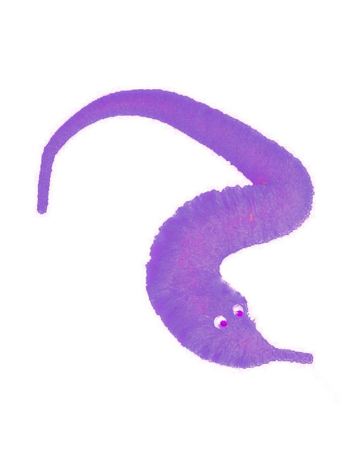 Игрушка Фантастик Purple
Игрушка Фантастик Purple