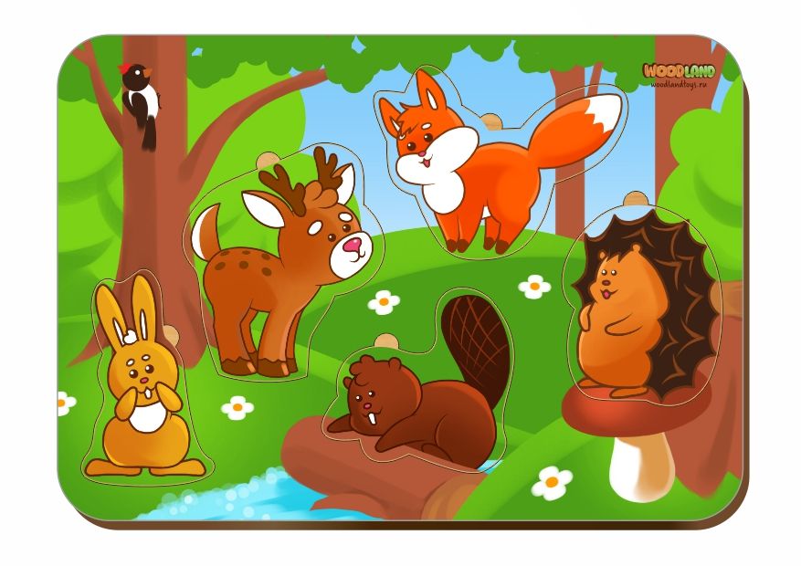 Рамка-вкладыш WOODLANDTOYS 011504 Лесные животные
Рамка-вкладыш WOODLANDTOYS 011504 Лесные животные