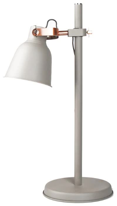 Настольный светильник Евросвет 01031/1 серый
Настольный светильник Евросвет 01031/1 серый