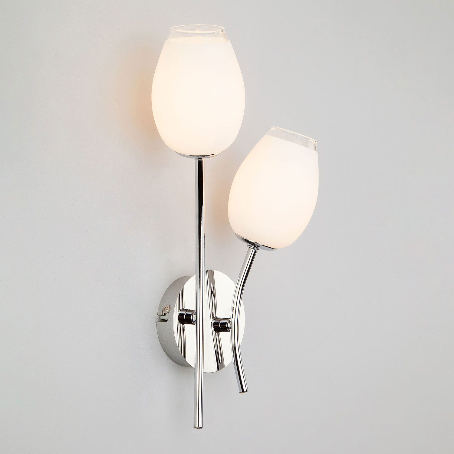 Настенный светильник Евросвет Tulip 30135/2 хром
Настенный светильник Евросвет Tulip 30135/2 хром