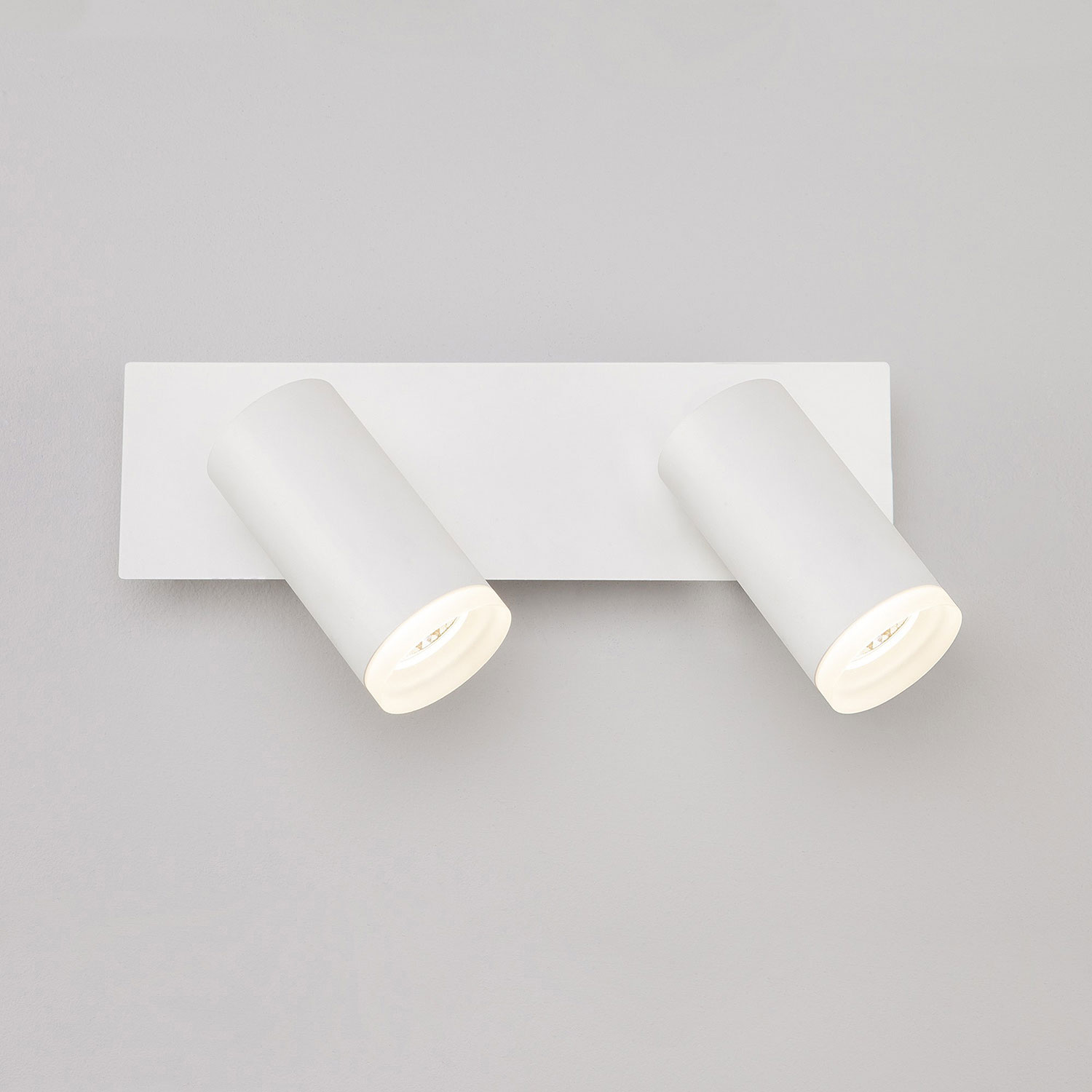 Настенный светильник Евросвет Holly 20067/2 LED белый 10W
Настенный светильник Евросвет Holly 20067/2 LED белый 10W