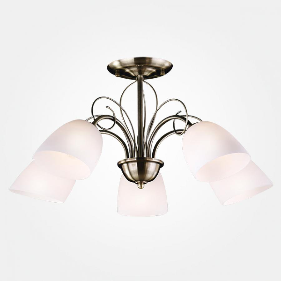 Потолочный светильник Евросвет Оптима 30107/5
Потолочный светильник Евросвет Оптима 30107/5