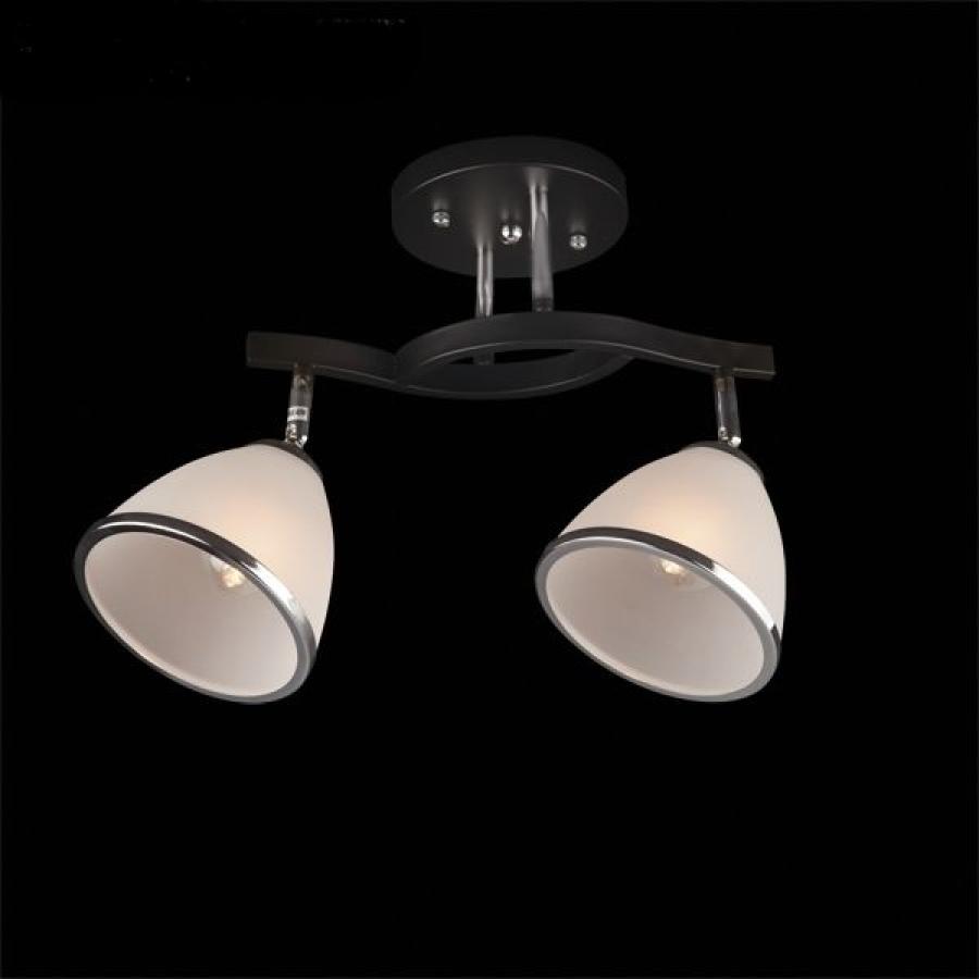 Потолочный светильник Евросвет Элегант 9612/2
Потолочный светильник Евросвет Элегант 9612/2