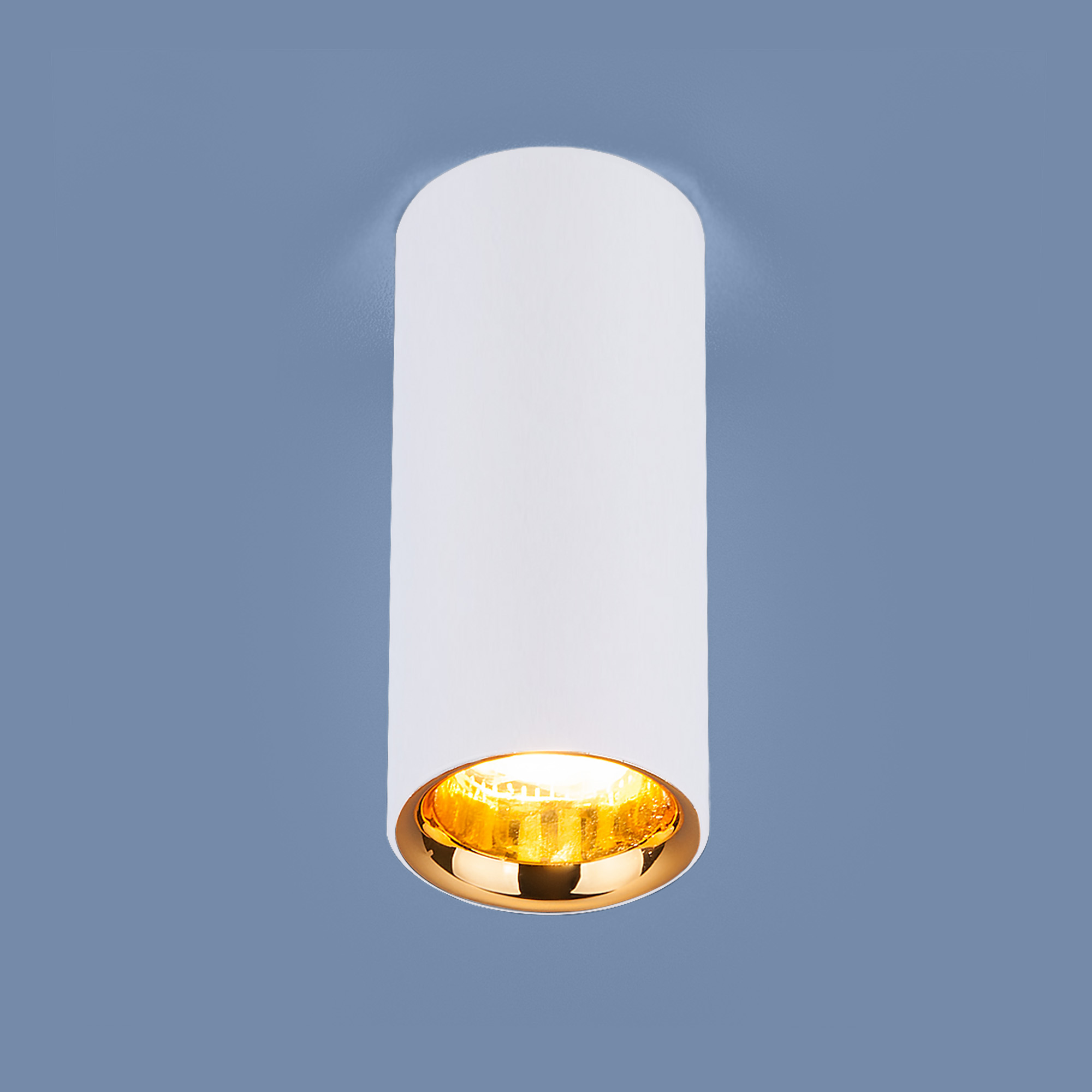 Светильник потолочный Elektrostandard DLR030 a040669 Matt White-Gold
Светильник потолочный Elektrostandard DLR030 a040669 Matt White-Gold