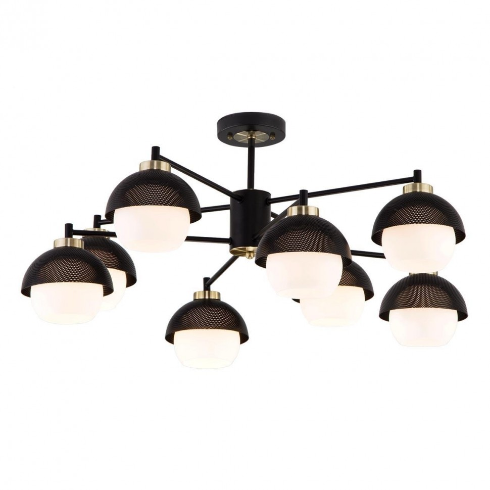 Потолочный светильник Евросвет 70106/8 черный
Потолочный светильник Евросвет 70106/8 черный