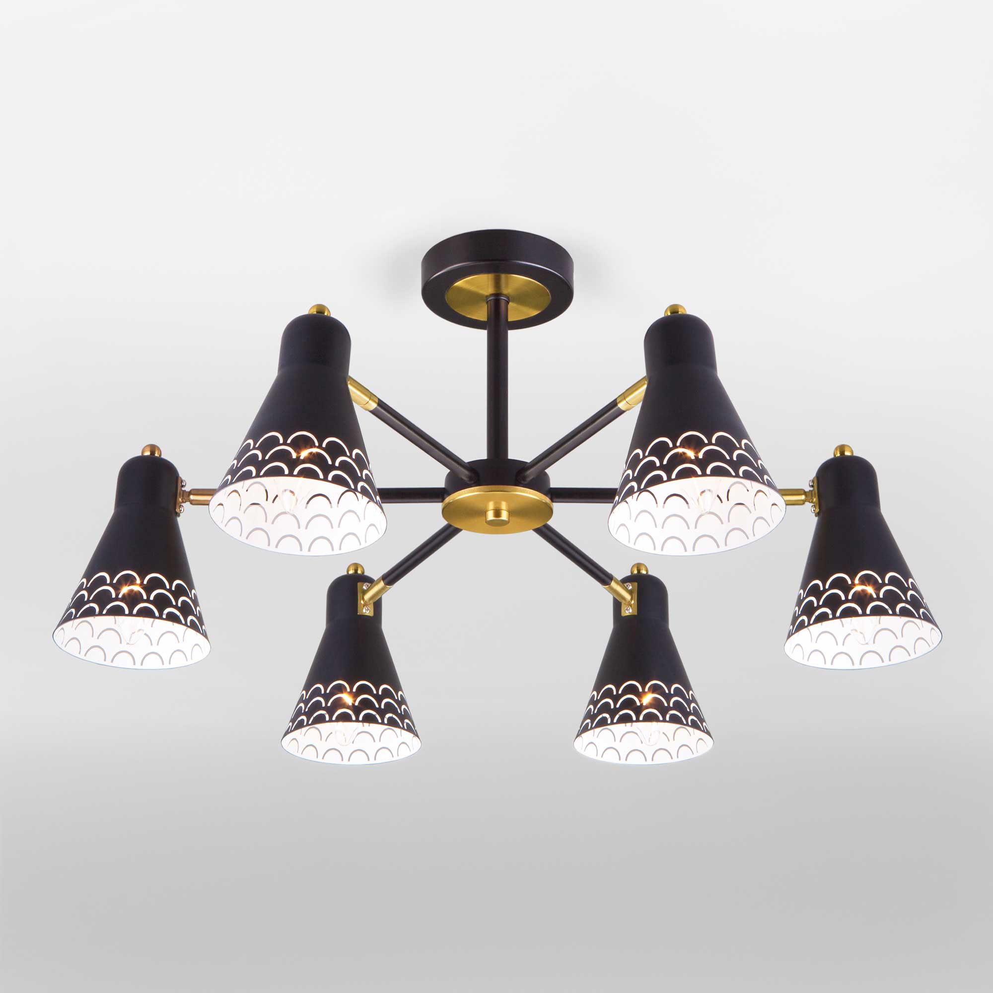 Потолочный светильник Евросвет 70100/6 черный
Потолочный светильник Евросвет 70100/6 черный