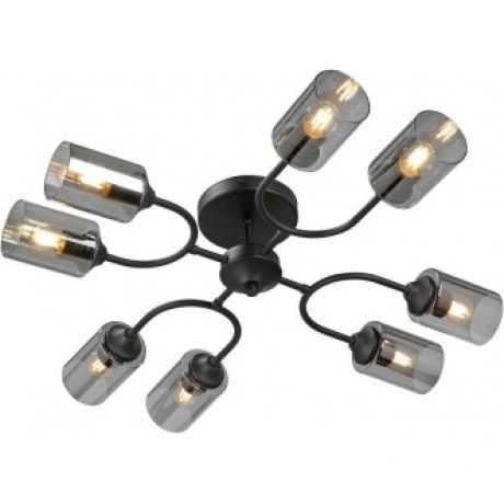 Люстра V2823-1/8PL, 8xE27 макс. 40Вт
Люстра V2823-1/8PL, 8xE27 макс. 40Вт