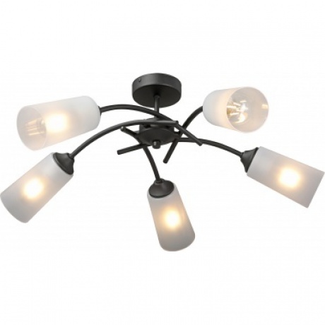 Люстра V2850-1/5PL, 5xE27 макс. 40Вт
Люстра V2850-1/5PL, 5xE27 макс. 40Вт