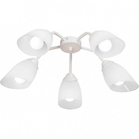 Люстра V31950/5PL, 5хE14 макс. 40Вт, плафон ПП
Люстра V31950/5PL, 5хE14 макс. 40Вт, плафон ПП